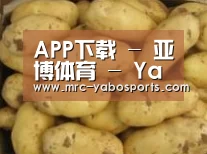 产品展示标题6