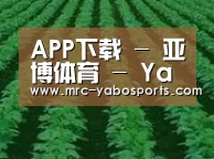 种植基地六(图1)