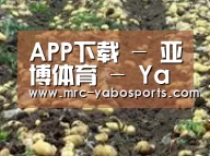 种植基地八(图1)