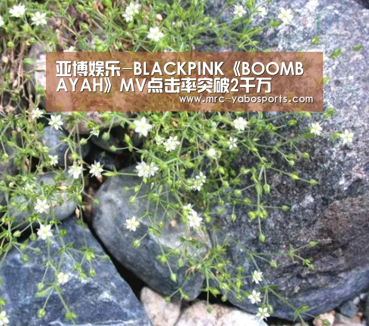 亚博娱乐-BLACKPINK《BOOMBAYAH》MV点击率突破2千万(图1) 亚博体育