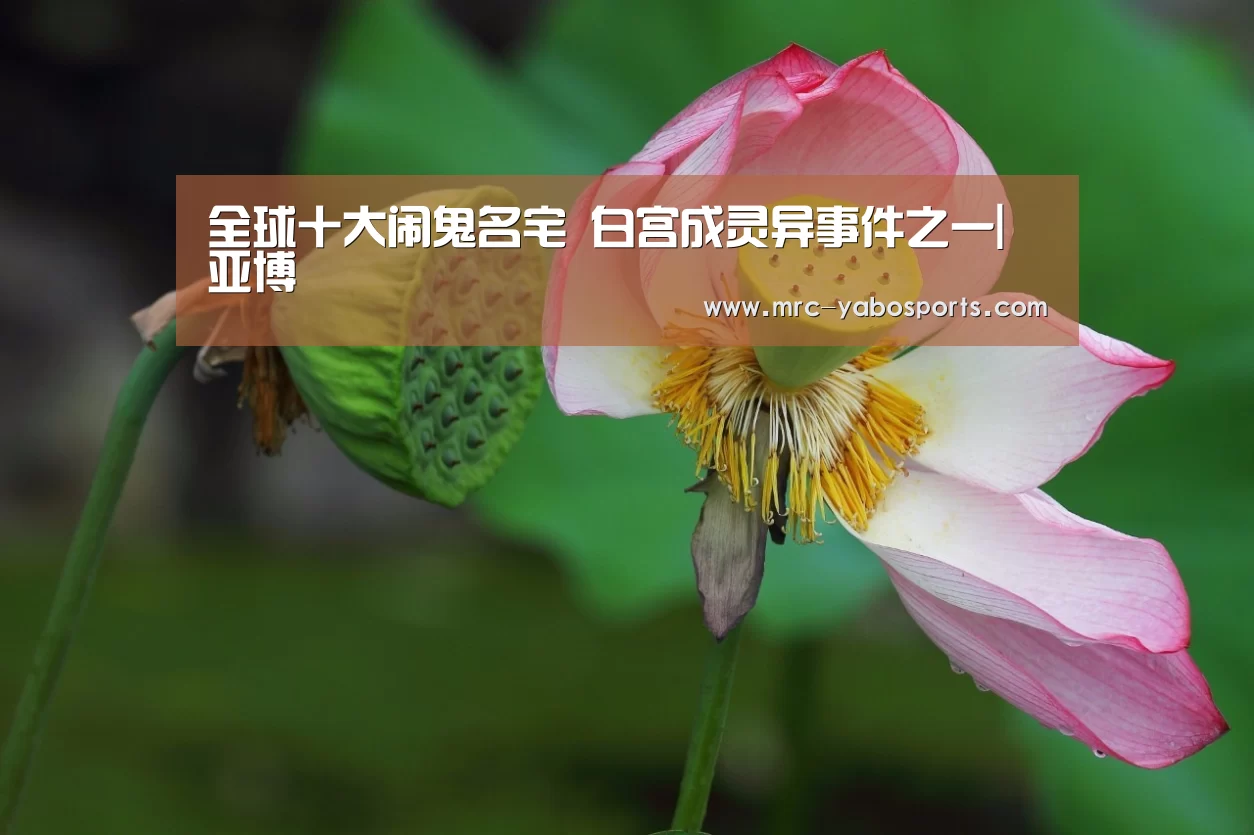 全球十大闹鬼名宅 白宫成灵异事件之一|亚博(图1) 亚博体育