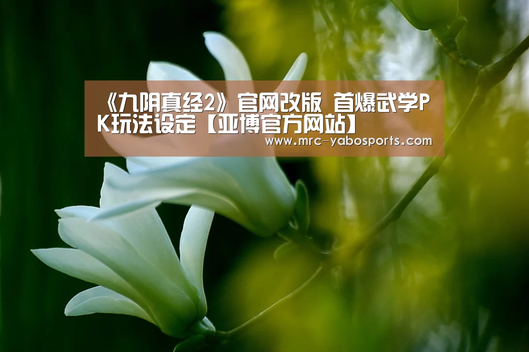 《九阴真经2》官网改版 首爆武学PK玩法设定【亚博官方网站】(图4) 亚博体育