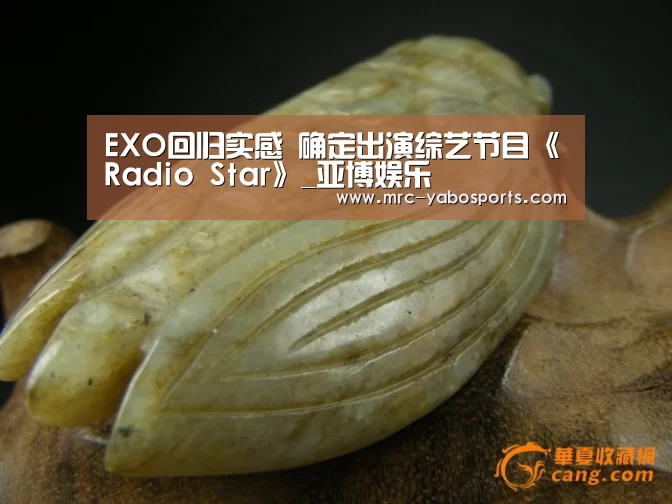 EXO回归实感 确定出演综艺节目《Radio Star》_亚博娱乐(图1) 亚博