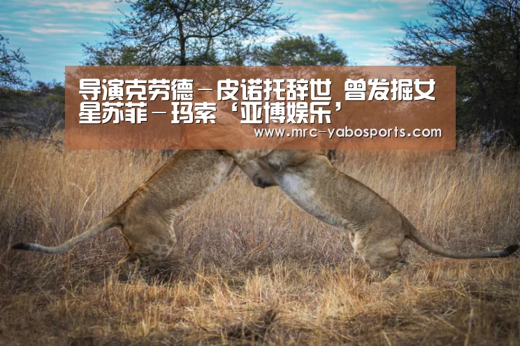 亚博